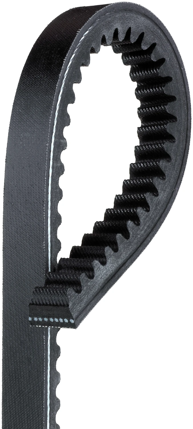 Accessory Drive Belt