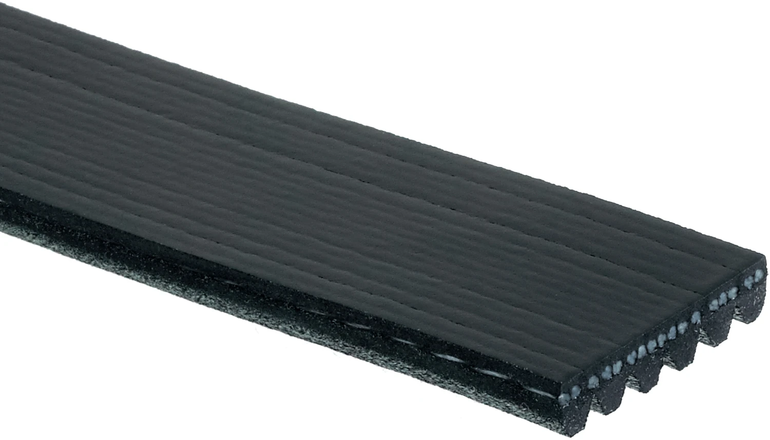 Serpentine Belt