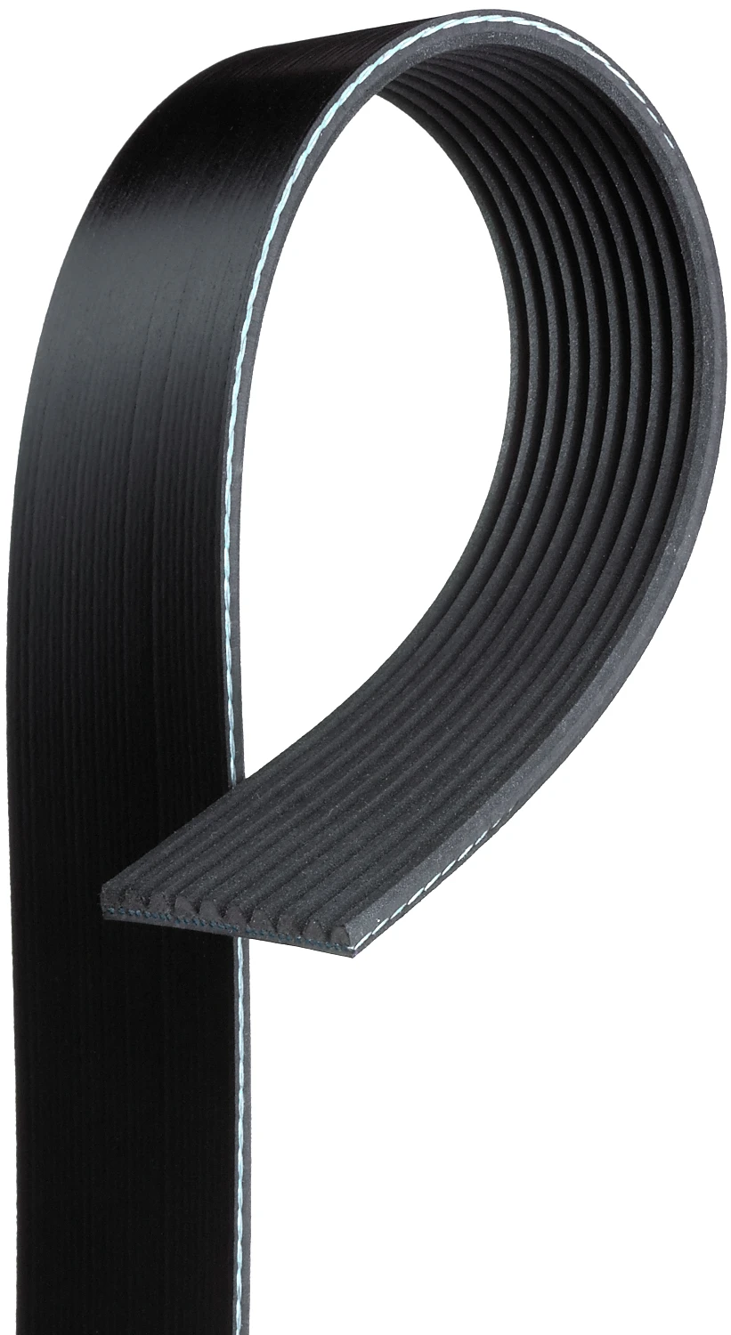 Serpentine Belt