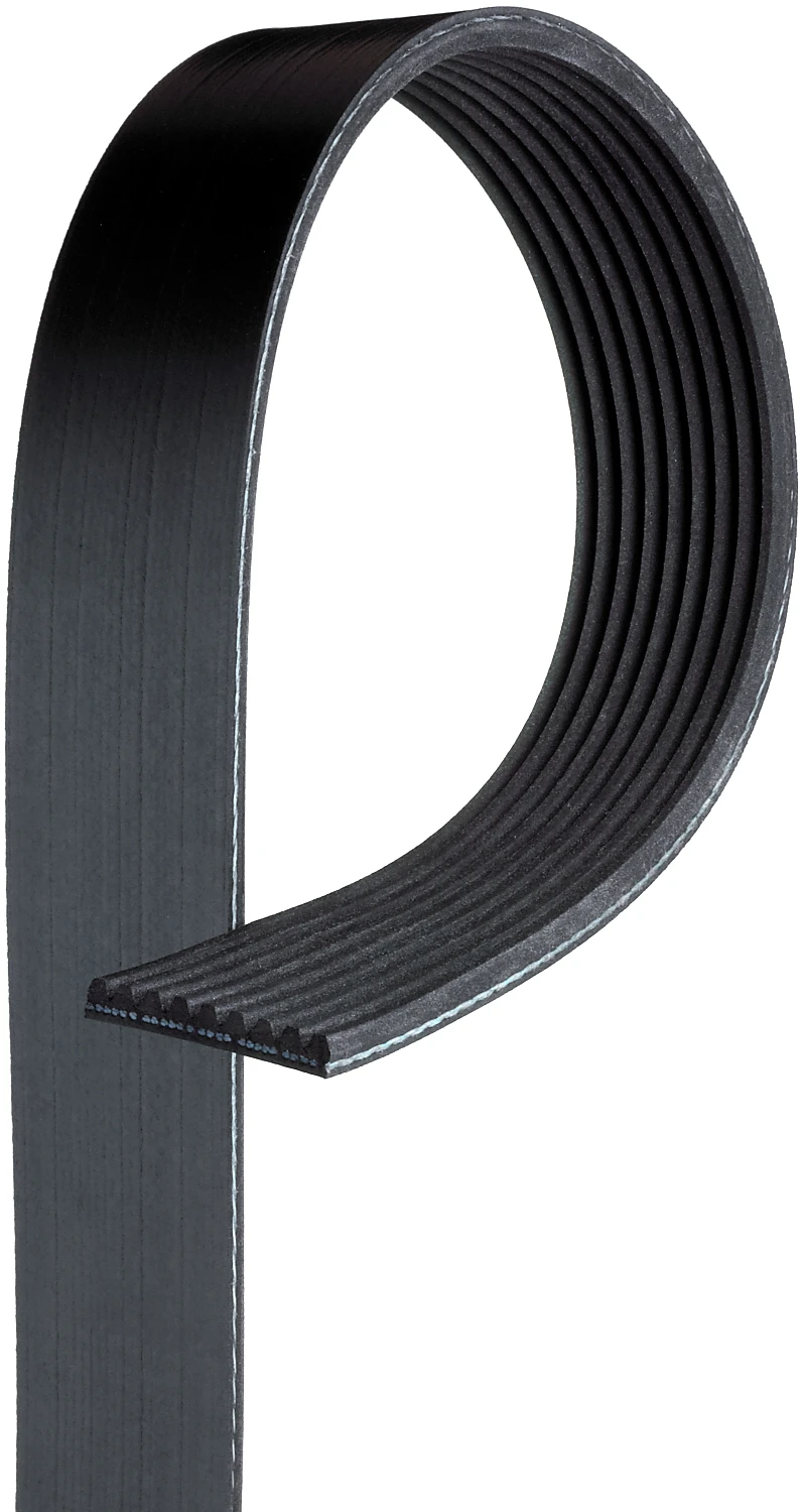 Serpentine Belt
