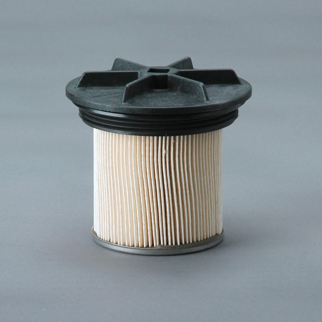 Fuel Filter, Cartridge