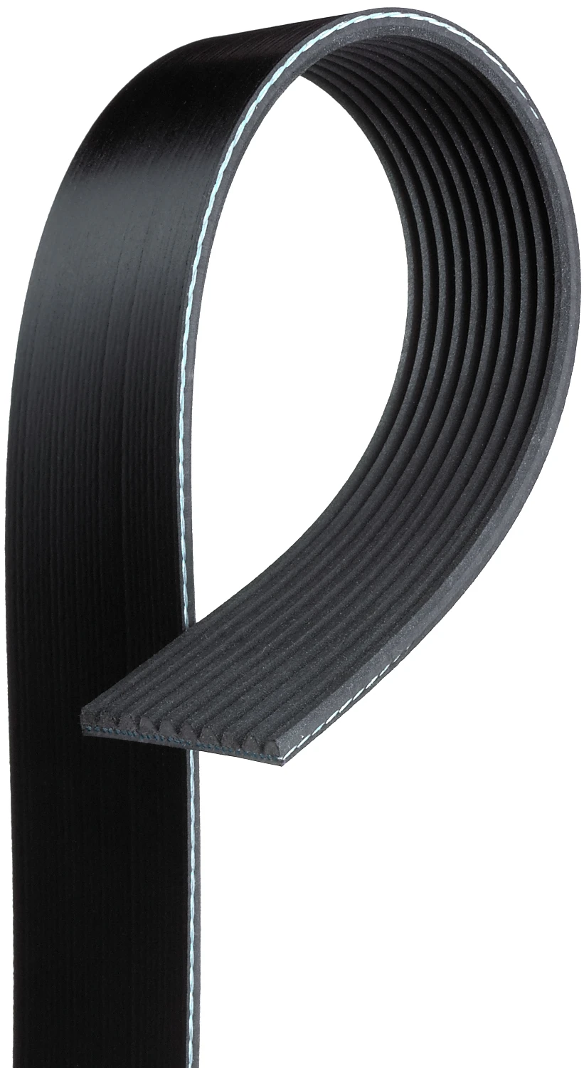 Serpentine Belt
