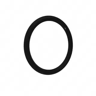 Position Sensor O-Ring