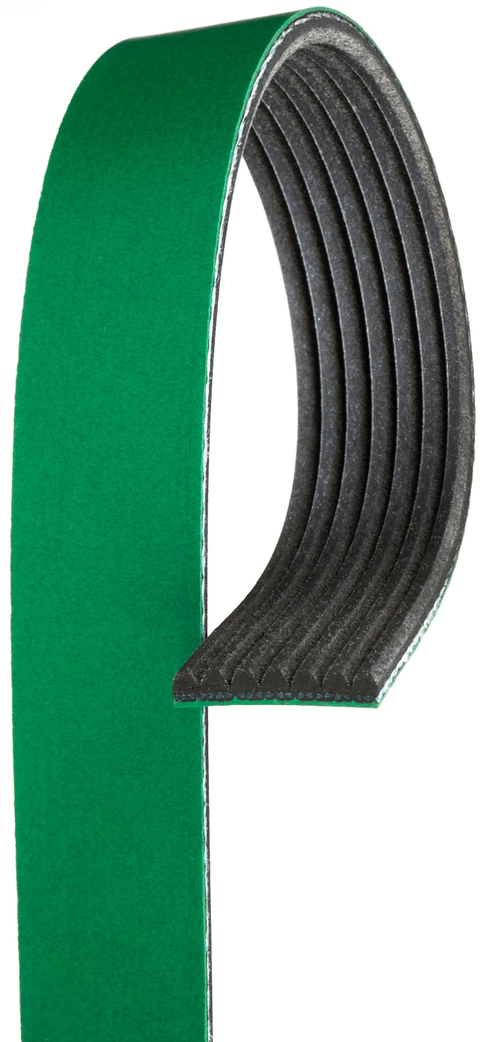 Serpentine Belt
