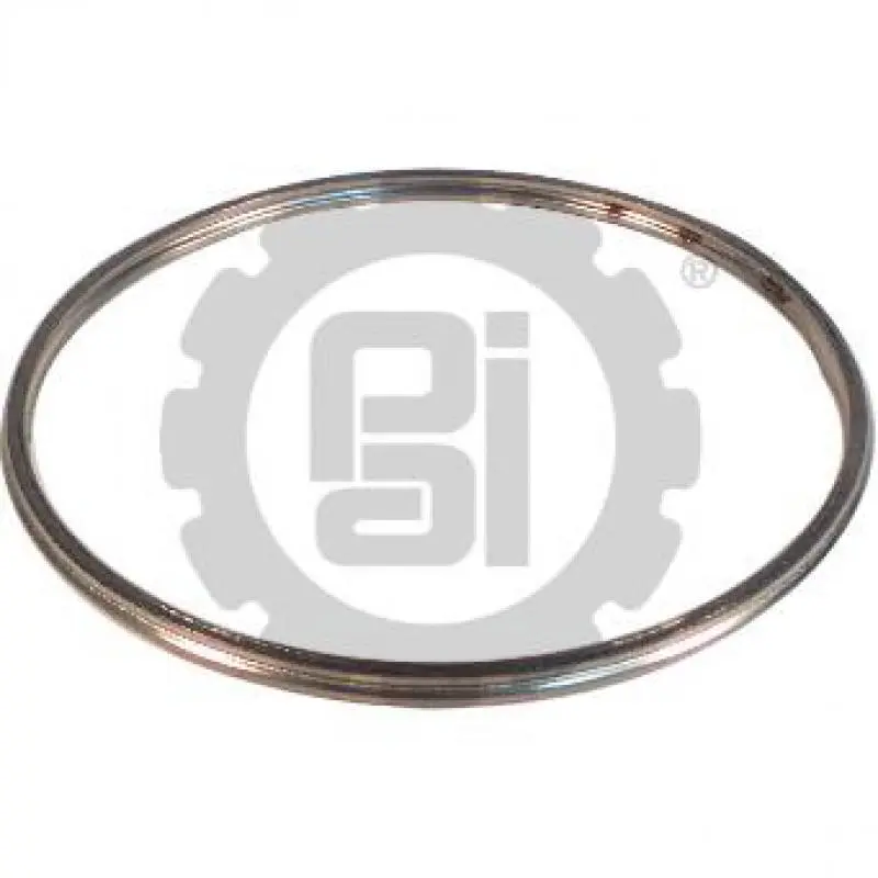 Exhaust Gasket