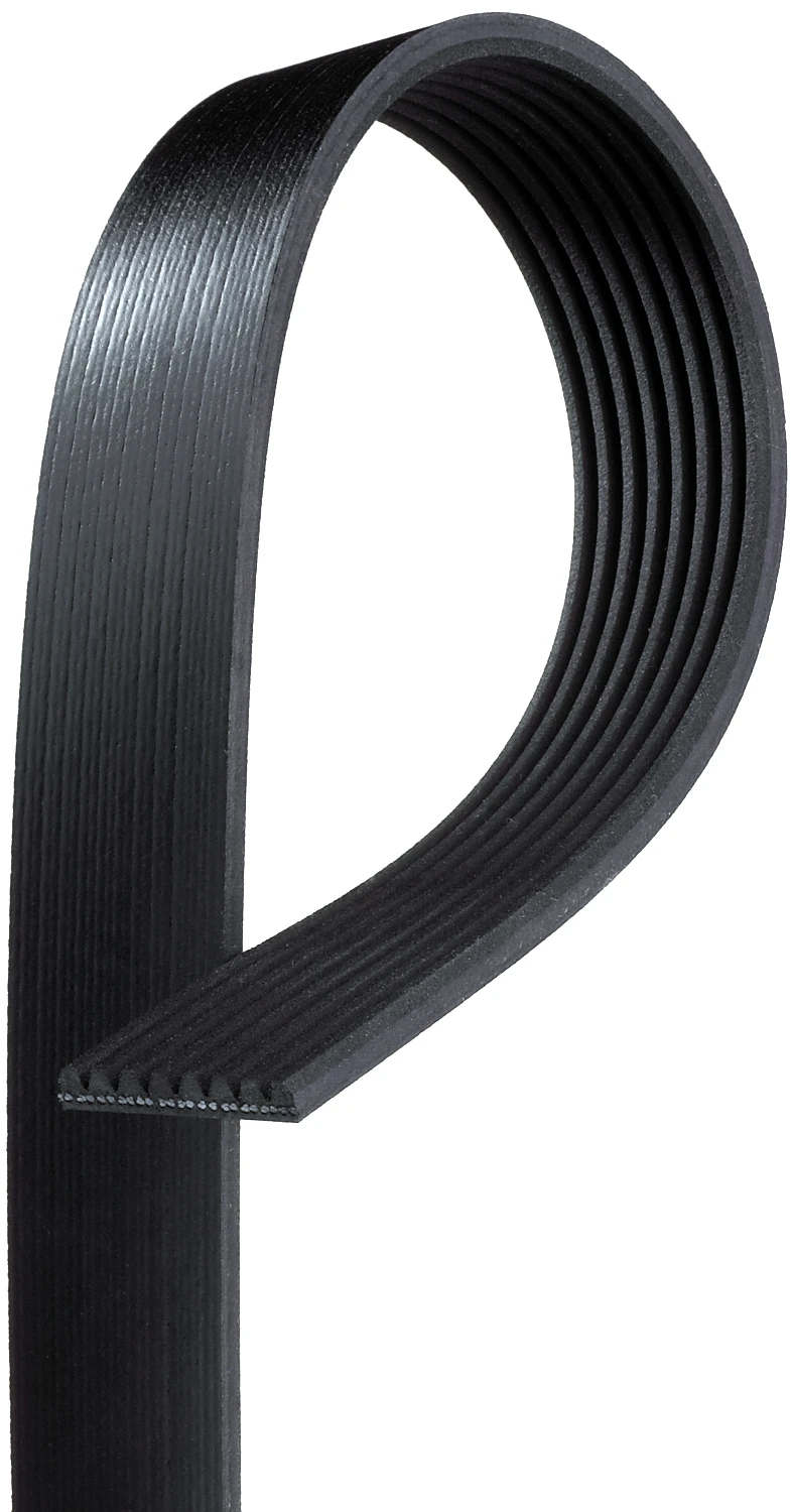 Serpentine Belt