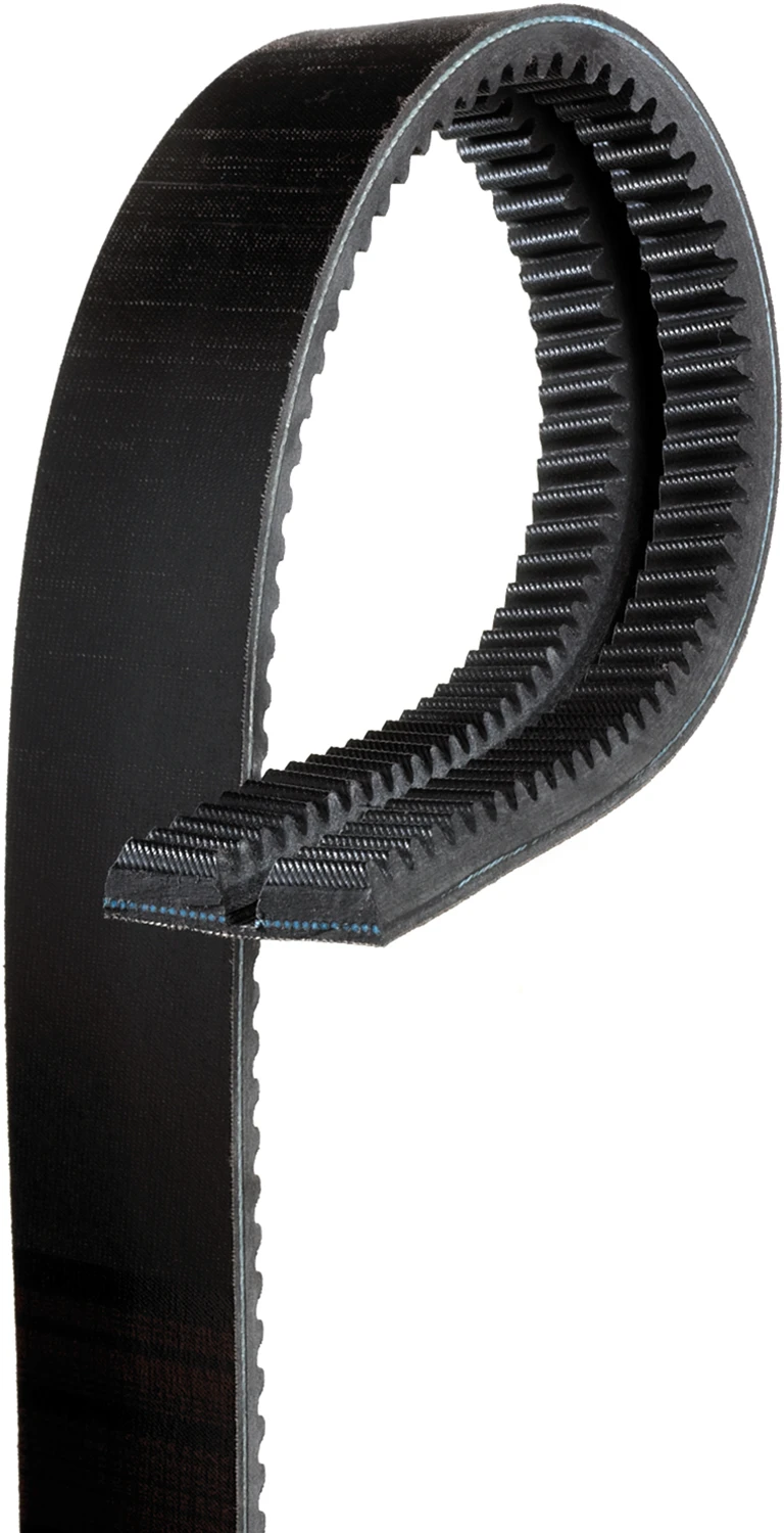 Accessory Drive Belt