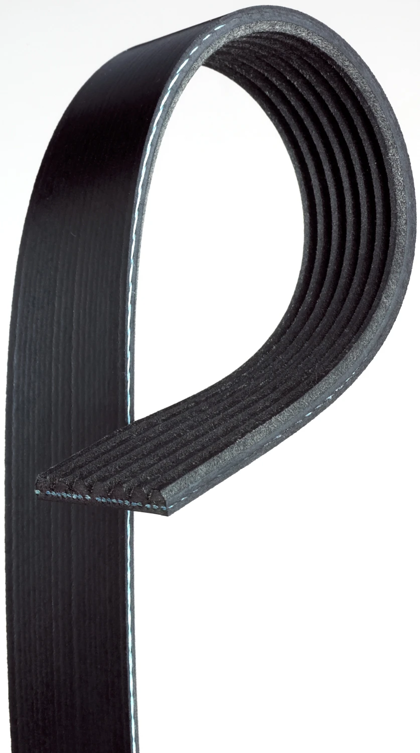 Serpentine Belt