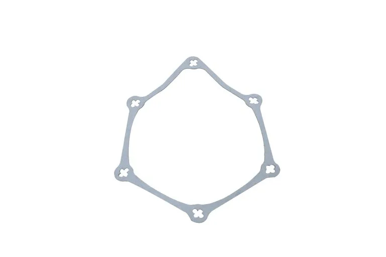 FP Diesel 8929299 Gasket, Accessory Drive