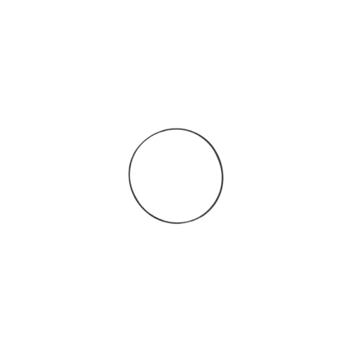 Seal Ring
