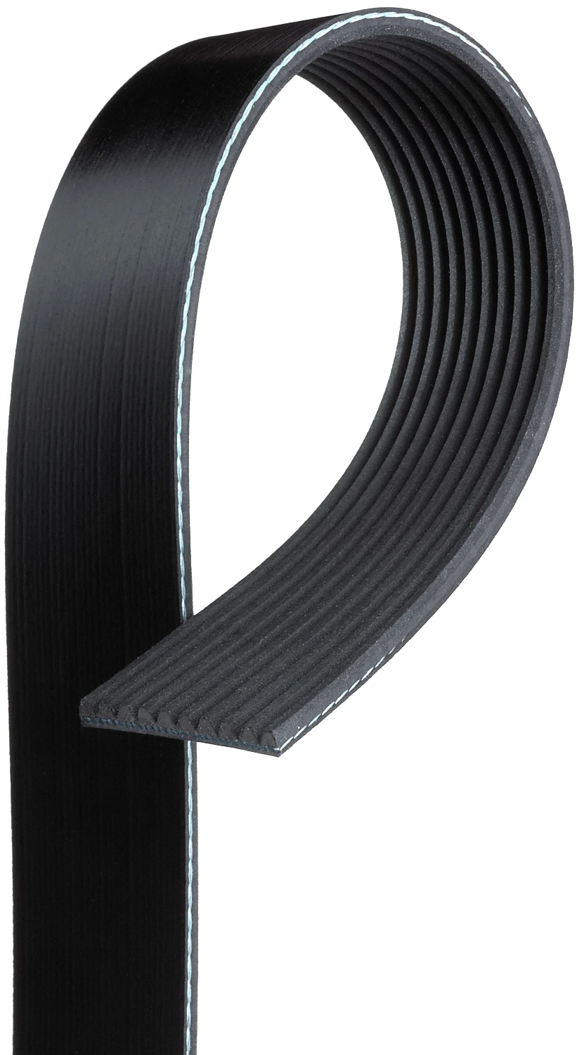 Serpentine Belt