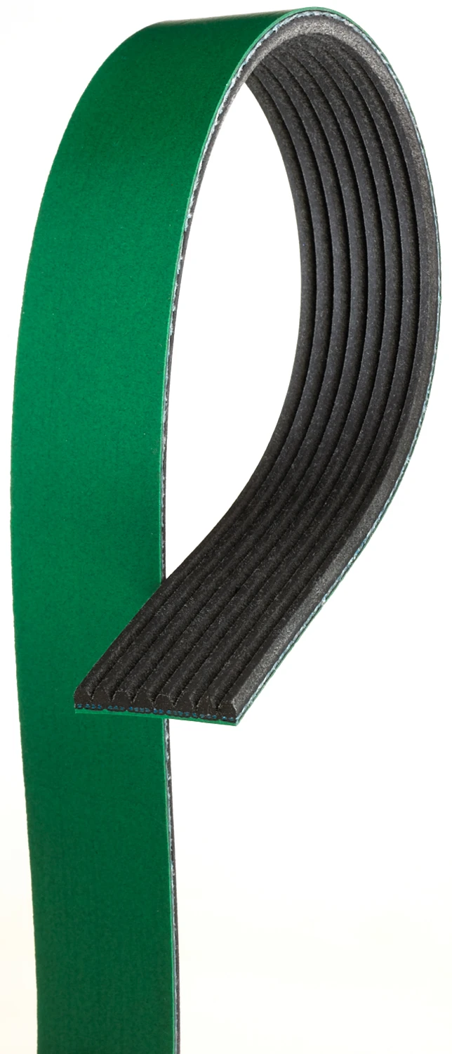 Serpentine Belt