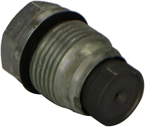 Bosch Pressure Limiting Valve 1110010013