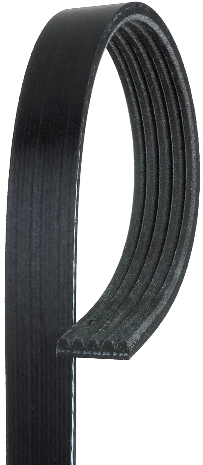 Serpentine Belt