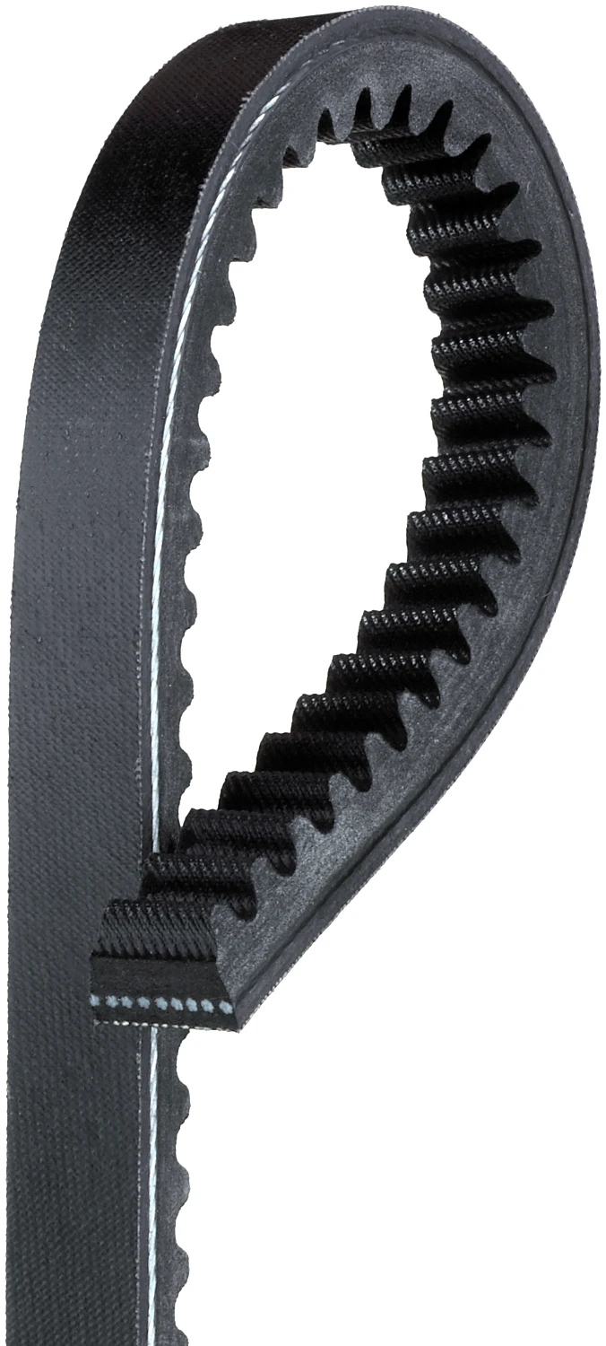 Accessory Drive Belt