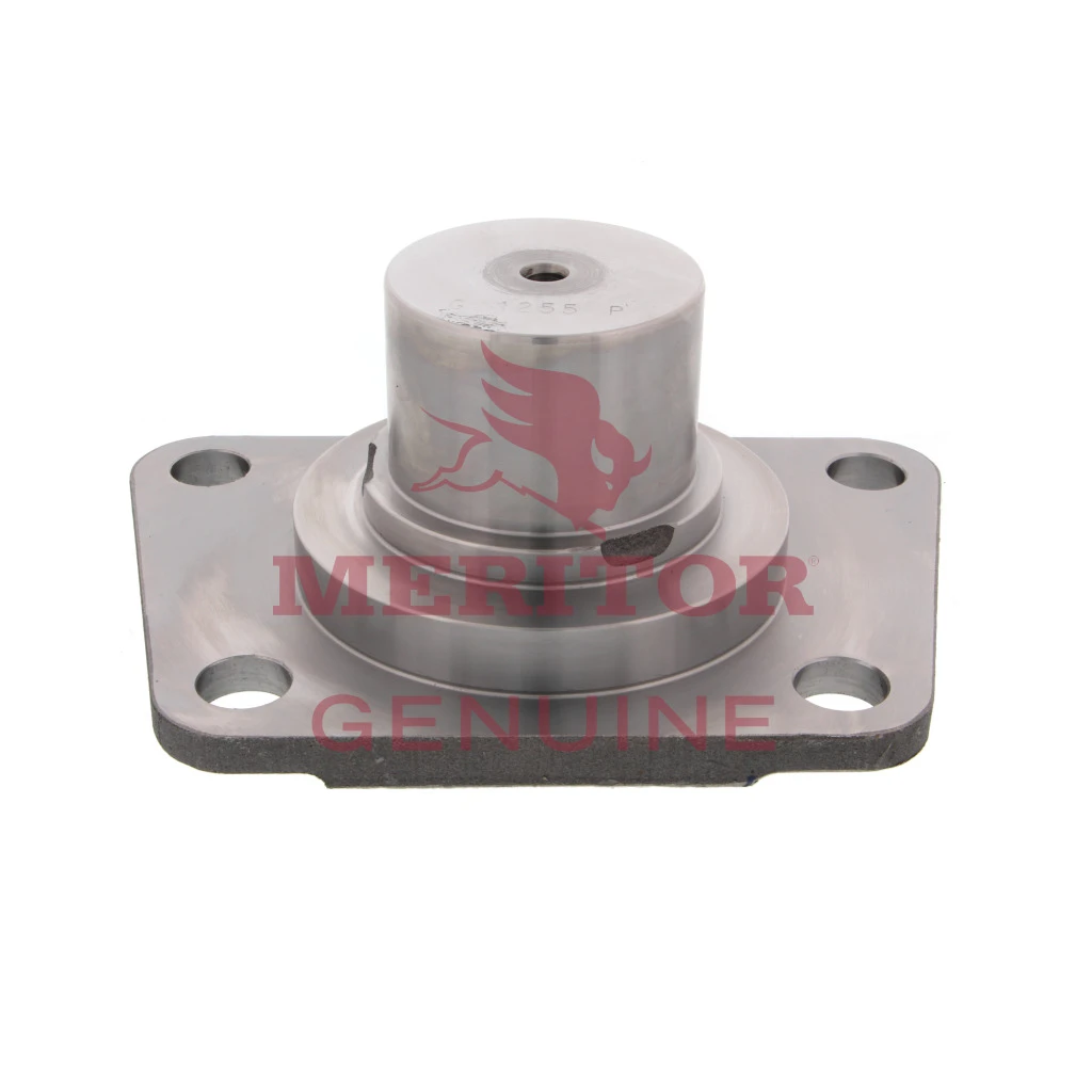 Steering Knuckle Cap