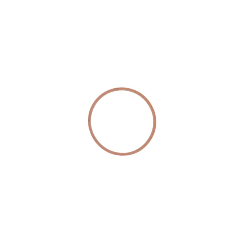 O-Ring