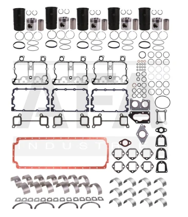 IN-FRAME OVERHAUL KIT