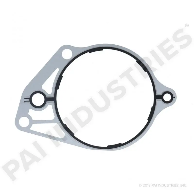 Fuel Pump Gasket