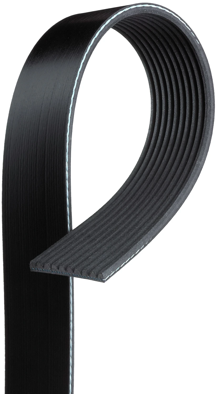 Serpentine Belt