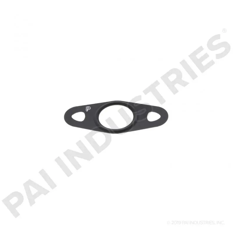 Drain Gasket