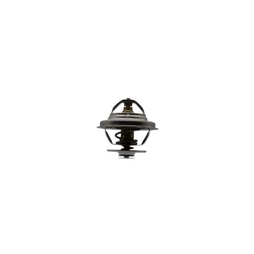 Engine Coolant Thermostat