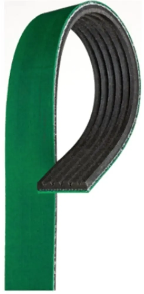 Serpentine Belt