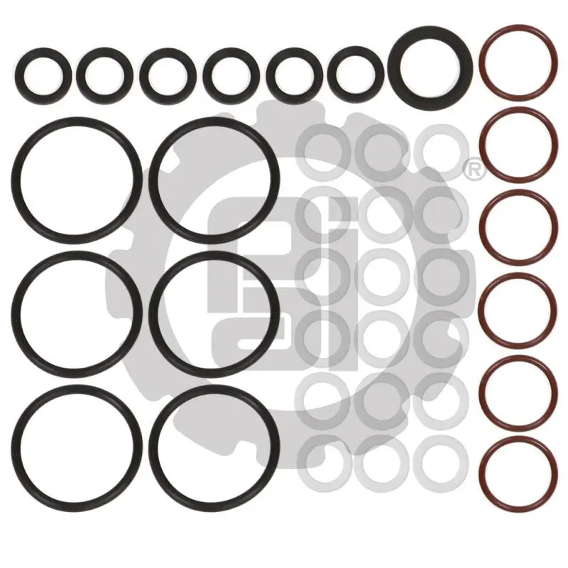 Oil Rail Kit