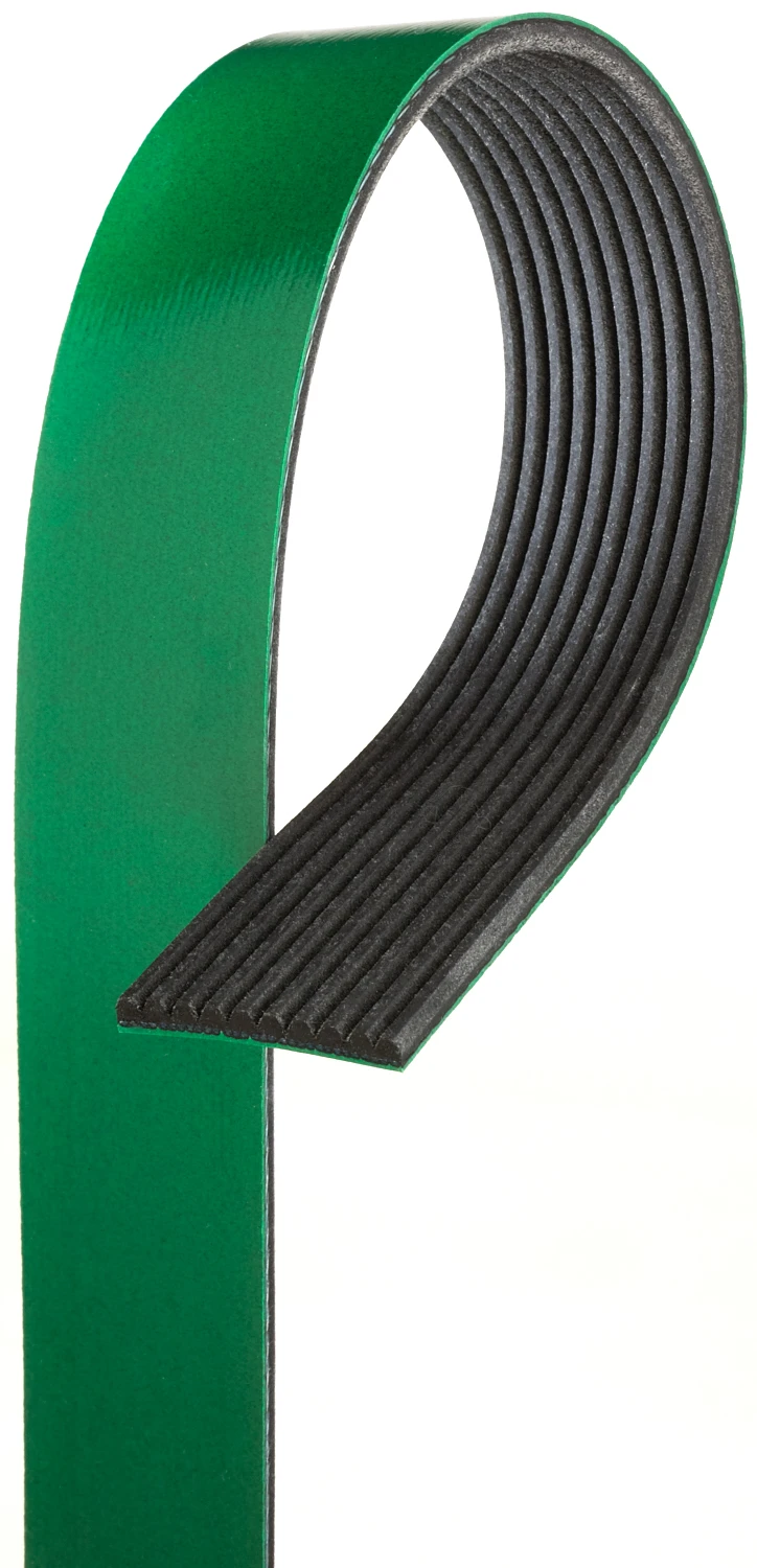 Serpentine Belt