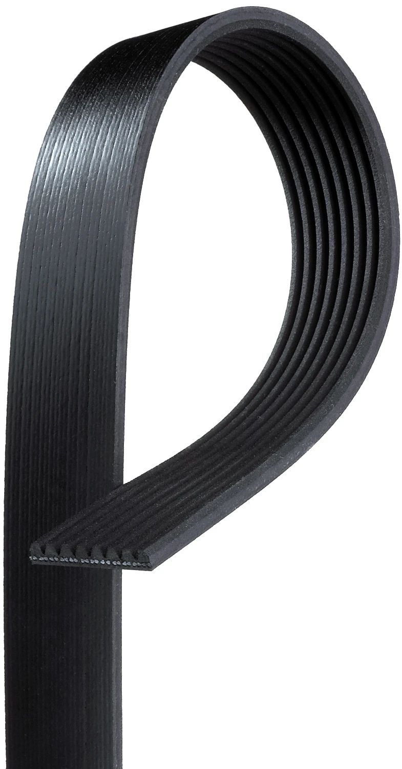 Serpentine Belt