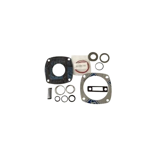 Akmi AK-3559549 Qe Rer Kit for PAI