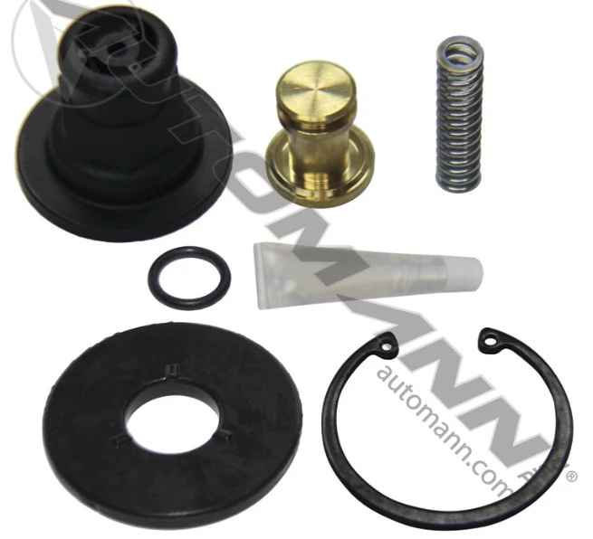 ADSP Type Purge Valve Kit