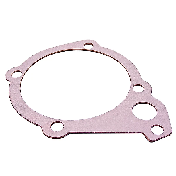 FP Diesel FP-3069101 Gasket ACC Drive Support