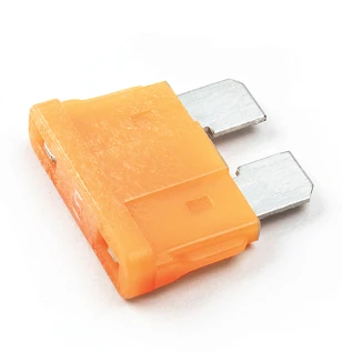 Multi-Purpose Fuse