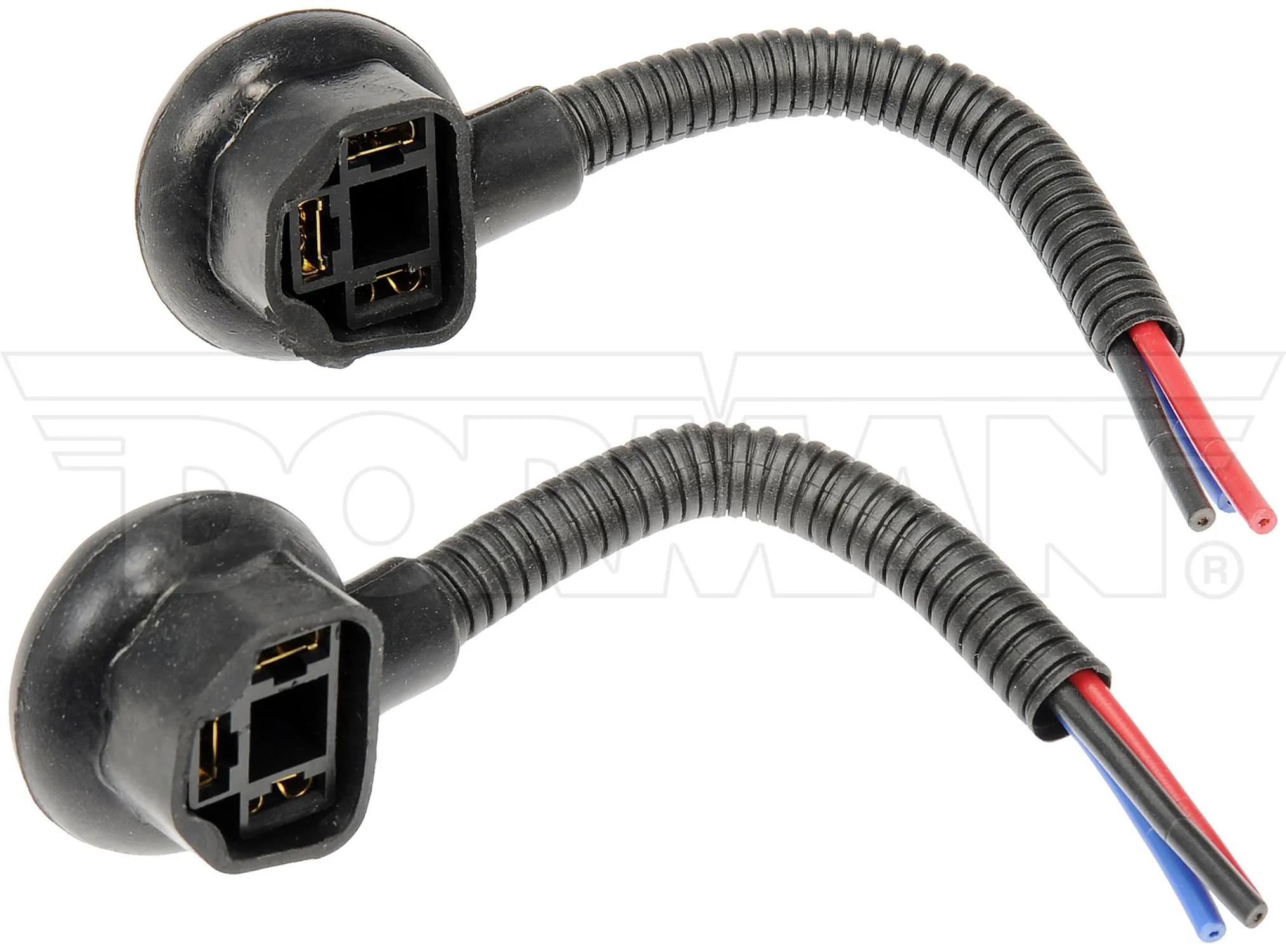 Headlight Socket
