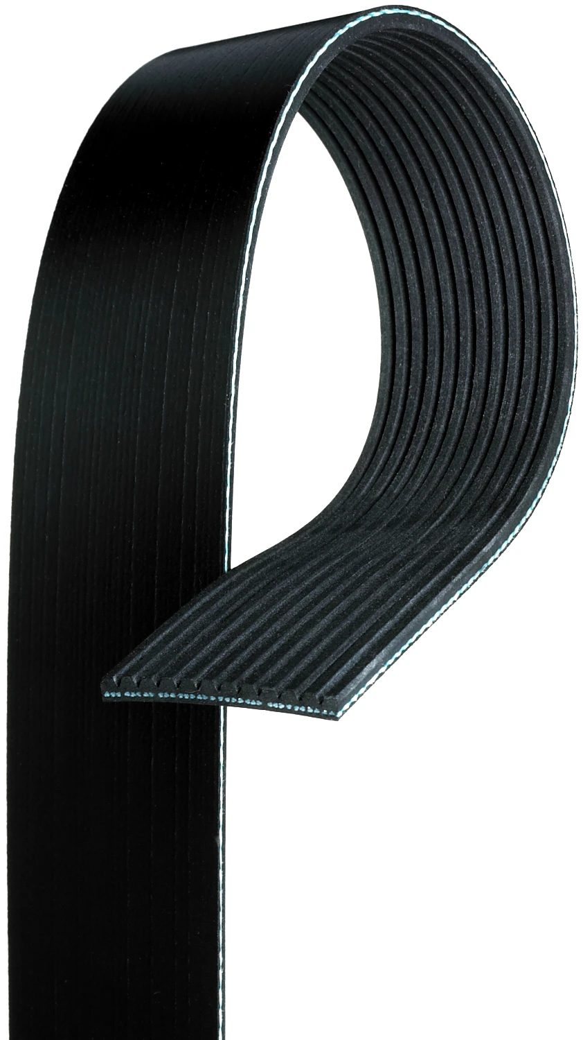 Serpentine Belt
