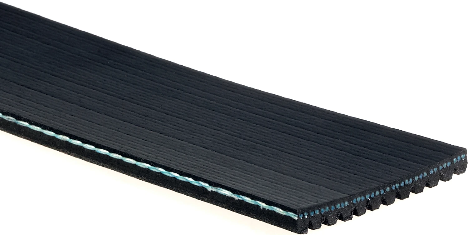 Serpentine Belt