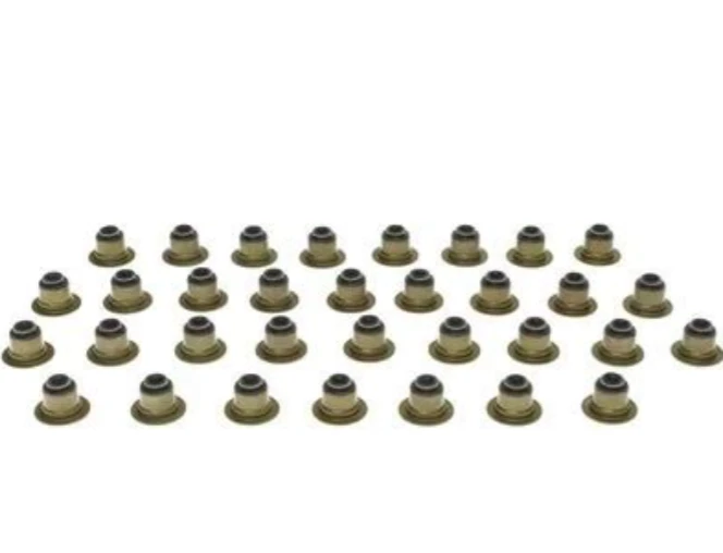 Valve Stem Oil Seal Set