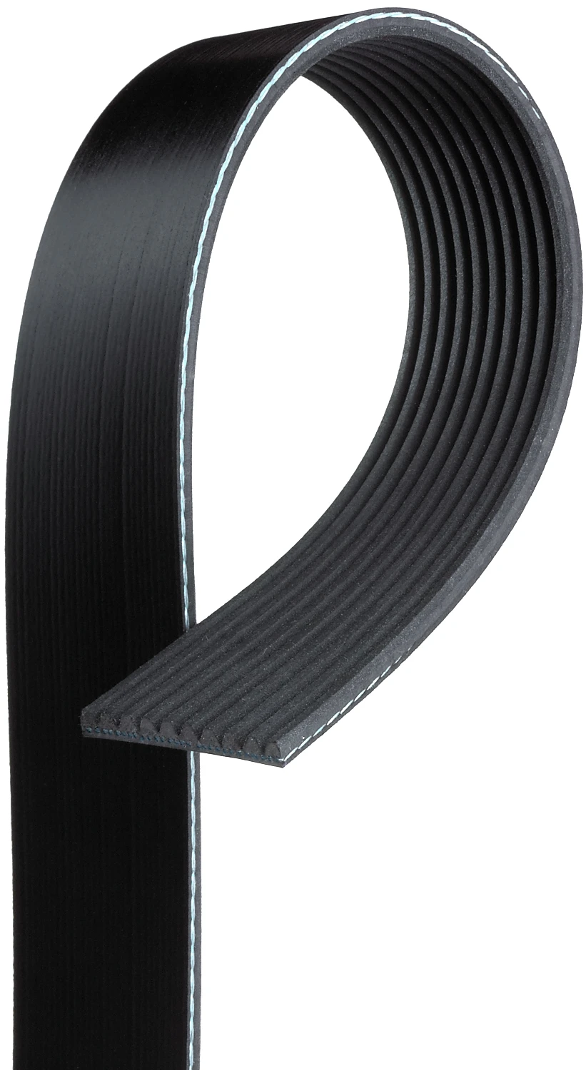 Serpentine Belt