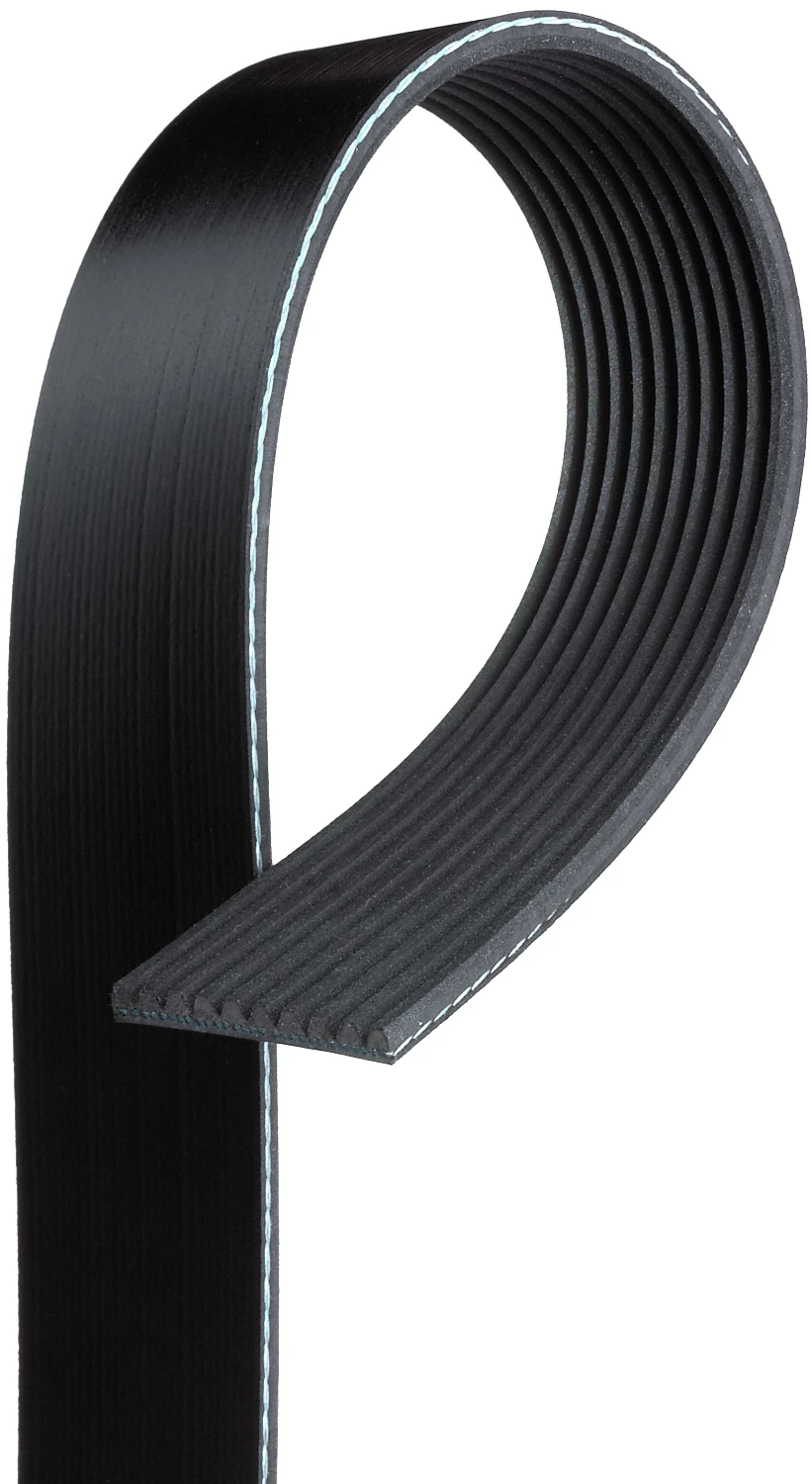 Serpentine Belt