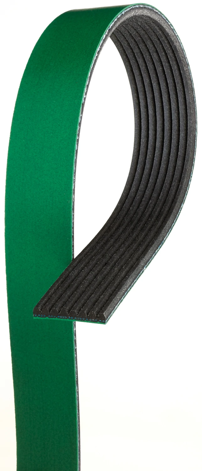 Serpentine Belt