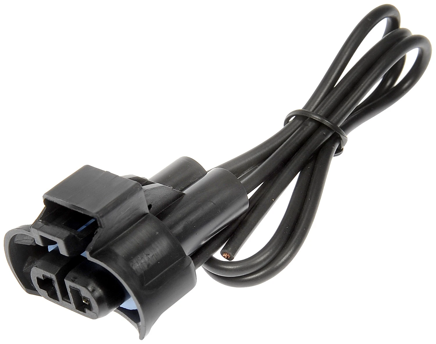 Headlight Socket