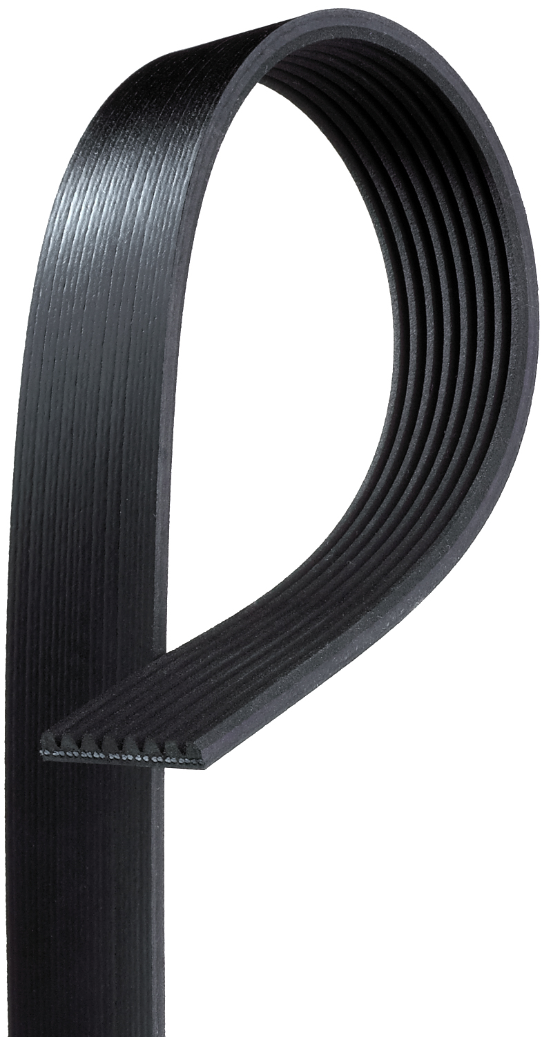 Serpentine Belt - K080897