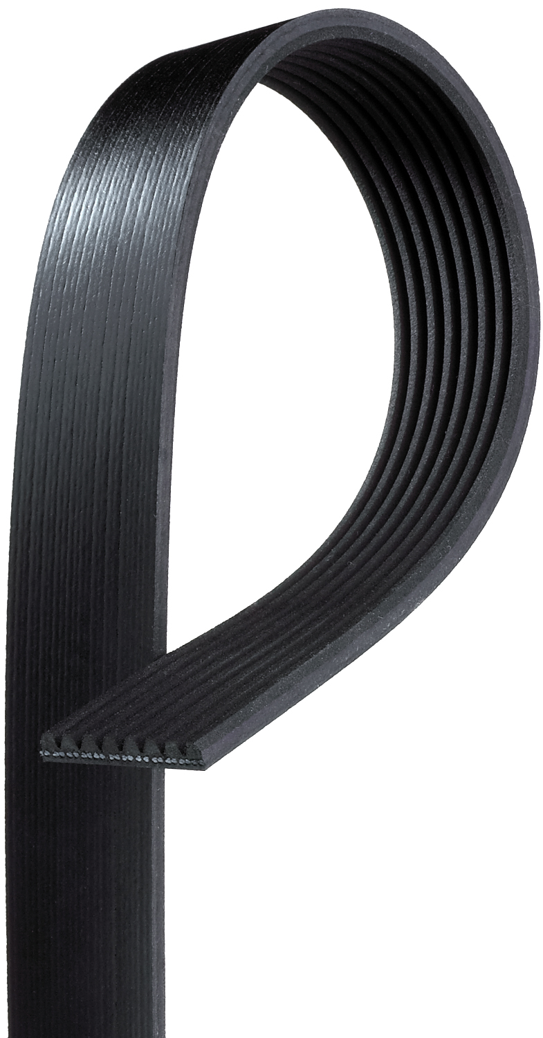 Serpentine Belt - K080825