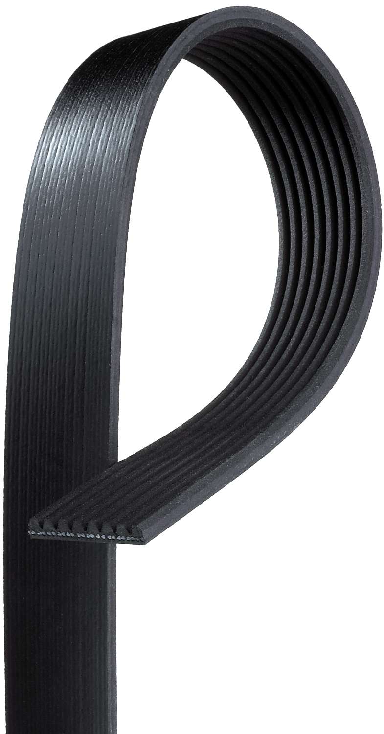 Serpentine Belt - K080400