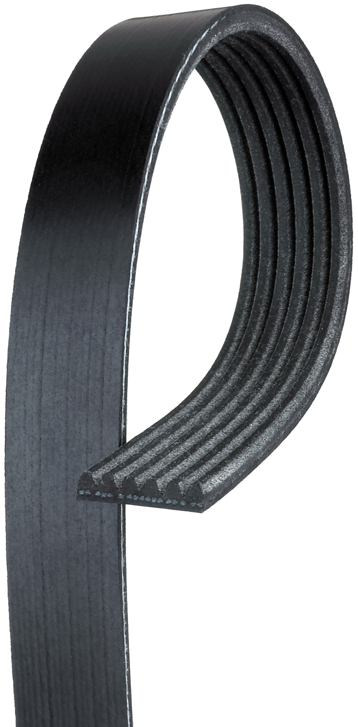 Serpentine Belt - K060612