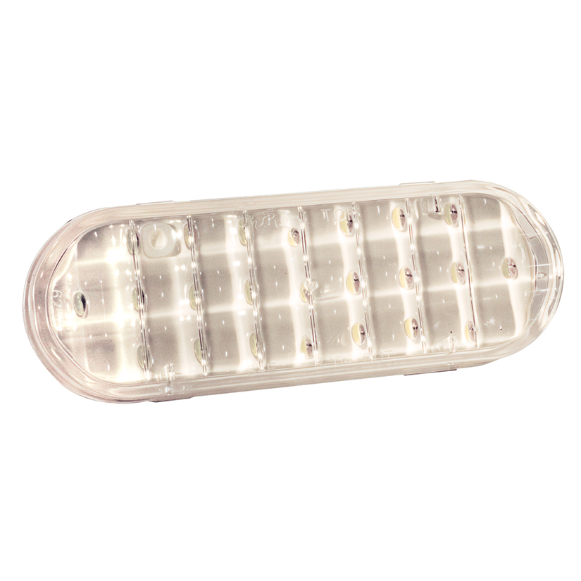 Back Up Light Assembly - 62561
