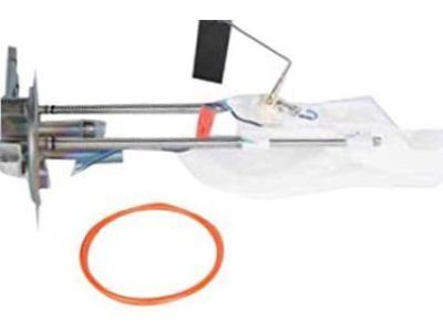 Fuel Pump Assembly - 19122428