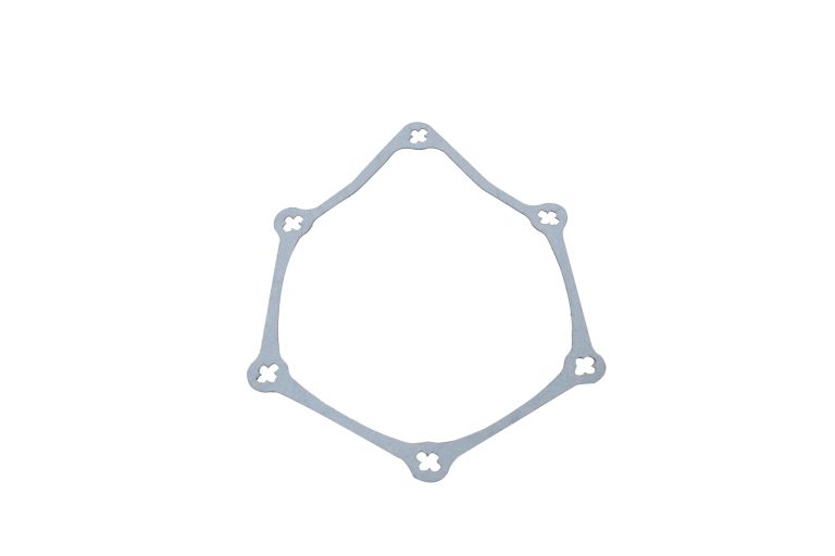 FP Diesel 8929299 Gasket, Accessory Drive - 8929299