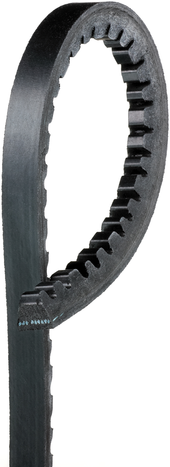 Accessory Drive Belt - 9545